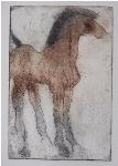 Elizabeth Haider - Plate 18 - Young Foal